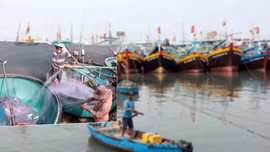 Ảnh thời sự - Tiêu điểm ngày 8/4/2025