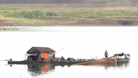 Khó khăn bủa vây nghề nuôi cá lồng bè trên lòng hồ Thác Mơ