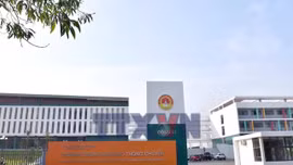 Cần xử lý nghiêm gian lận thi cử