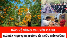Bảo vệ vùng chuyên canh trái cây phục vụ Tết trước triều cường