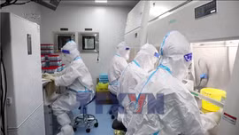 Theo dõi chặt chẽ biến thể 've sầu' của virus SASR-CoV-2