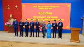 Thành lập các tổ chức Đảng trực thuộc Đảng ủy Tổng LĐLĐVN