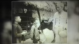 Học Bác mỗi ngày: Cần chăm sóc tốt trâu bò trong vụ rét