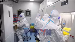 Theo dõi chặt chẽ biến thể 've sầu' của virus SASR-CoV-2