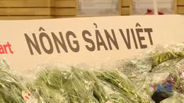 Để hàng Việt trụ vững trên 'sân nhà'