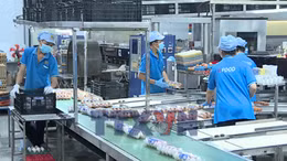 Doanh nghiệp tiết giảm chi phí, giữ nhịp thị trường