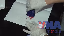 Hà Nam bắt đối tượng tàng trữ 468 viên ma túy tổng hợp