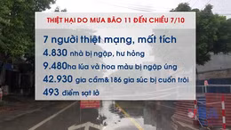 Bảy người thiệt mạng và mất tích do bão số 11