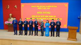 Thành lập các tổ chức Đảng trực thuộc Đảng ủy Tổng LĐLĐVN