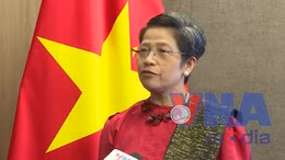 Thế giới ngưỡng mộ cuộc đấu tranh giải phóng của Việt Nam