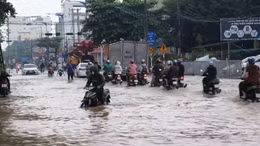 Triều cường ở Cần Thơ dự báo lên 2,30m trong năm nay 2025