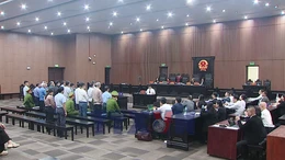 Cựu Thứ trưởng Bộ NN&PTNT bị đề nghị từ 4-5 năm tù