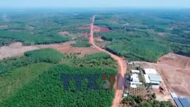 Nỗ lực giữ màu xanh rừng Mã Đà