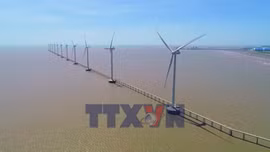 Đề xuất xác định giá điện mặt trời theo từng tỉnh, thành