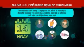 Những lưu ý để phòng bệnh do virus Nipah