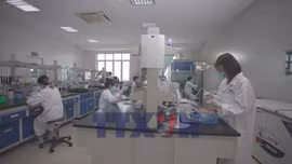 Vaccine made in Việt Nam lập thêm kỳ tích mới