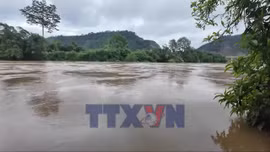 Tân Quang không để lũ về mới ứng phó