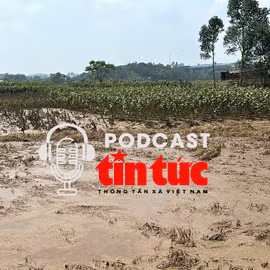 'Giải mã cùng luật sư': Ngăn chặn các chiêu trò mới về đấu giá đất 