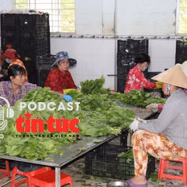 Tin nóng trong nước nghe nhanh sáng 21/11