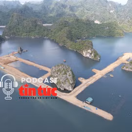 Tin nóng trong nước nghe nhanh sáng 14/11