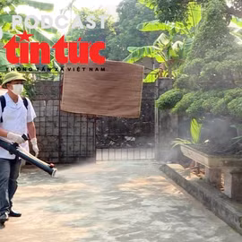 Bác sĩ ơi: Đặc điểm muỗi truyền bệnh sốt xuất huyết