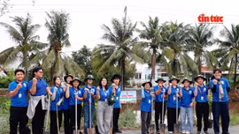 Đa dạng hoạt động tình nguyện của thanh niên TP Hồ Chí Minh
