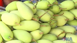 Xoài Việt Nam chiếm lĩnh thị trường Trung Quốc
