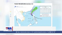 Bão số 14 có thể gây gió mạnh, sóng lớn
