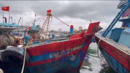 Hoàn thành đầy đủ khuyến nghị của châu Âu về chống khai thác IUU