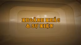 Khoảnh khắc & sự kiện ngày 10/11