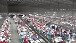 Doanh nghiệp Việt Nam tích cực chuyển đổi sau chính sách thuế quan của Mỹ