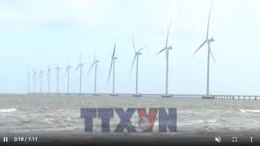 Nghị quyết 57 - đòn bẩy thúc đẩy phát triển năng lượng tái tạo