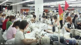 Doanh nghiệp cần quản trị tốt rủi ro tỷ giá