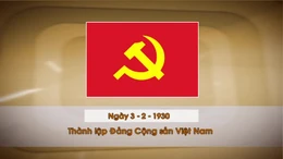Khoảnh khắc & sự kiện ngày 3/2
