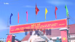 Các mốc tiến hành Bầu cử