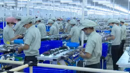 Việt Nam: Điểm đến ưa thích của nhiều tập đoàn đa quốc gia
