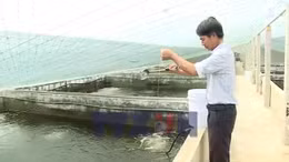 Ninh Bình ứng dụng công nghệ cao trong nuôi trồng thủy sản