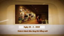 Khoảnh khắc & sự kiện ngày 28/3