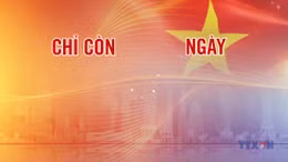 Đếm ngược A80 ngày 20/8/2025