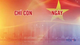 Đếm ngược A80 ngày 20/8/2025