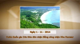 Khoảnh khắc & sự kiện ngày 1/11