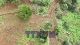 Lâm Đồng di dời hàng chục hộ dân vùng sạt lở đến nơi an toàn