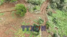 Lâm Đồng di dời hàng chục hộ dân vùng sạt lở đến nơi an toàn