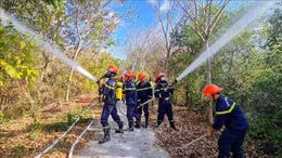 Chủ động bảo vệ Khu Bảo tồn loài sinh cảnh Vườn chim Bạc Liêu