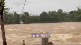 Lũ trên các sông tại Quảng Ngãi đang lên