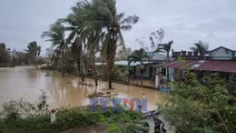 Mưa lớn làm nhiều khu vực phía Đông Gia Lai bị ngập cục bộ