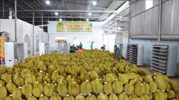 Xuất khẩu nông sản Việt Nam đối diện nhiều thách thức trong năm 2025