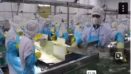 Ứng dụng công nghệ cao tạo giá trị phát triển sản xuất ở Ninh Thuận