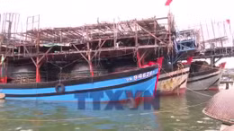 Đà Nẵng: Tổ bảo vệ chủ quyền an ninh trên biển quyết tâm gỡ bỏ thẻ vàng IUU