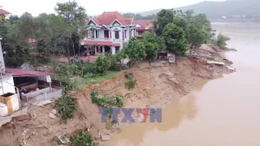 Yêu cầu xử lý khẩn cấp sự cố sạt lở bờ sông Lô